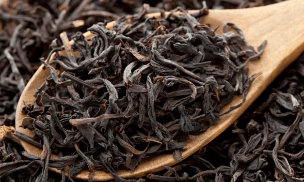 Discover the Rich Flavor and History of Ceylon BOP Tea