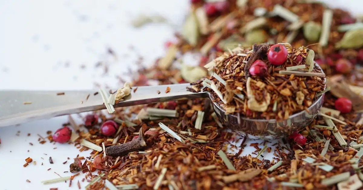 A Complete Guide to Rooibos Tea